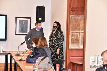 Pleno ordinario de diciembre de 2020/Francisco Javier Santana.